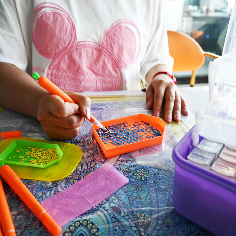 Diamond Embroidery Tools Carro - Embroidery Bag 评论和价格